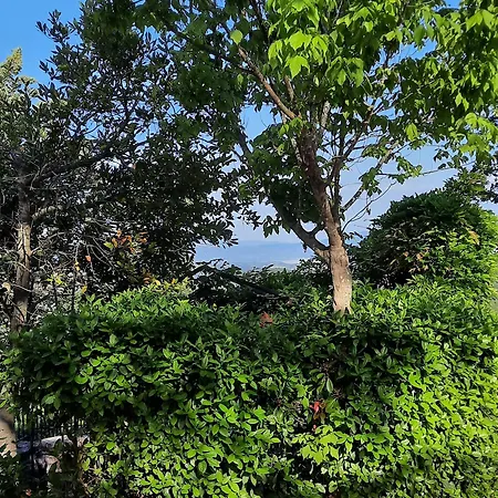 Anna Panzió San Venanzo