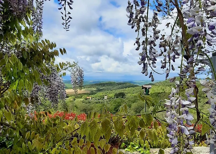 فندق مبيت وإفطار Anna San Venanzo