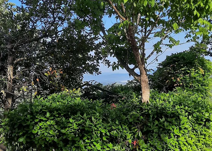 Anna فندق مبيت وإفطار San Venanzo